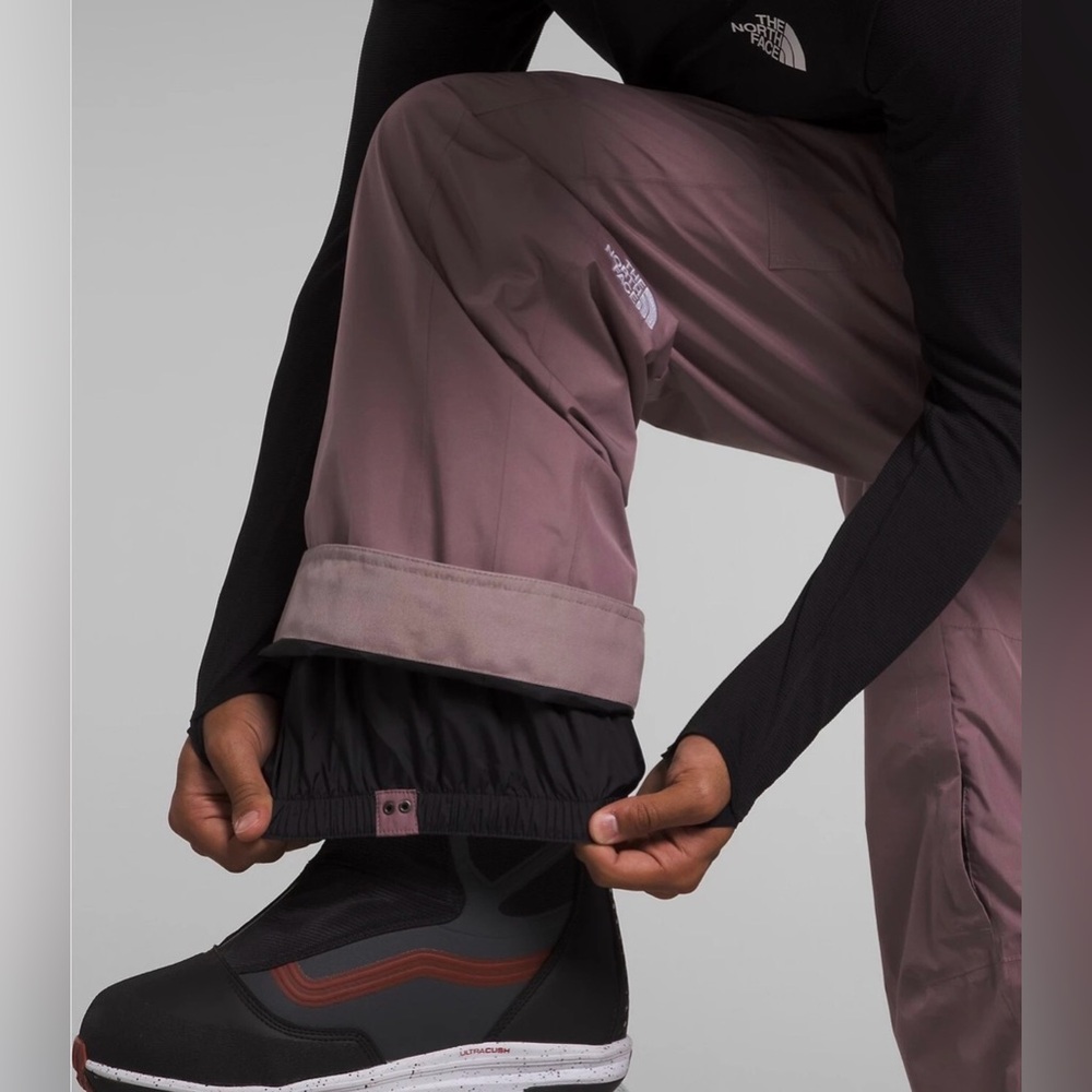 NWT! NEW! The North Face Men's Raadik GTX Gortex Snow Pant  -Only M Fawn Grey - Picture 5 of 8